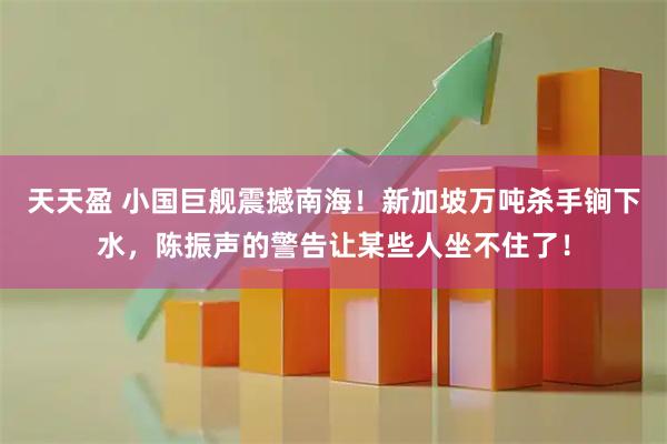 天天盈 小国巨舰震撼南海！新加坡万吨杀手锏下水，陈振声的警告让某些人坐不住了！