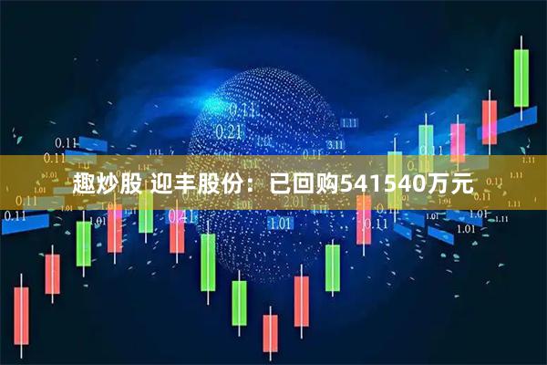 趣炒股 迎丰股份：已回购541540万元